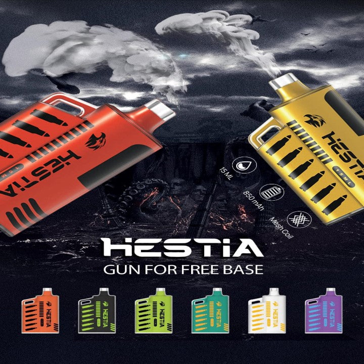 HESTIA GUN 12000 RECHARGEABLE DISPOSABLE
