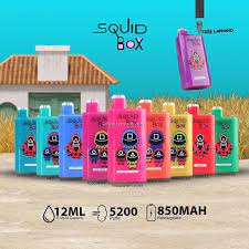 SQUID BOX 5200 RECHARGEABLE DISPOSABLE